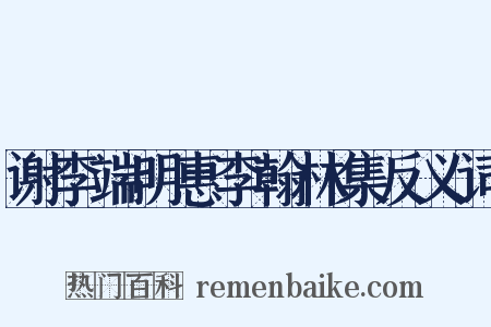 谢李端明惠李翰林集反义词是什么意思的图片